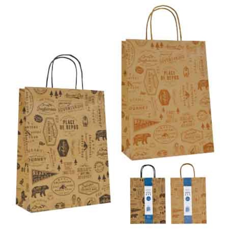 Paper bag M 2 pieces outdoor 300 × 230 x 100mm