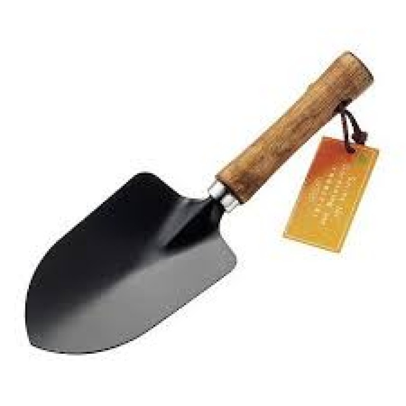 Trowel Medium